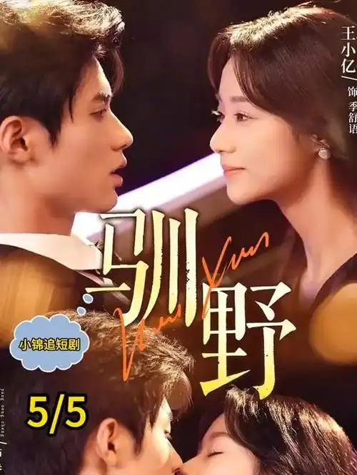 悟空影视在线看免费版-晚风知我意
